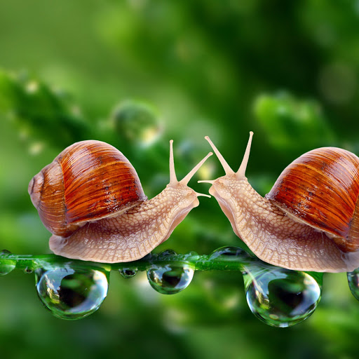 Hd-141810-ascw141810