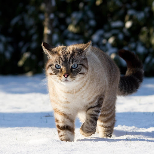 Hd-182501-ascw182501