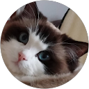 Image Google de skippy lune
