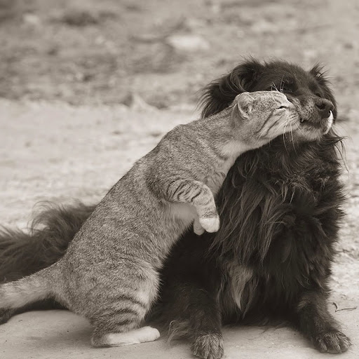 Hd-141853-ascw141853