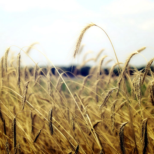 Hd-164883-ascw164883