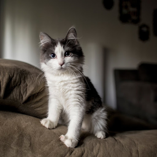 Hd-180861-ascw180861