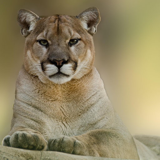 Hd-177646-ascw177646