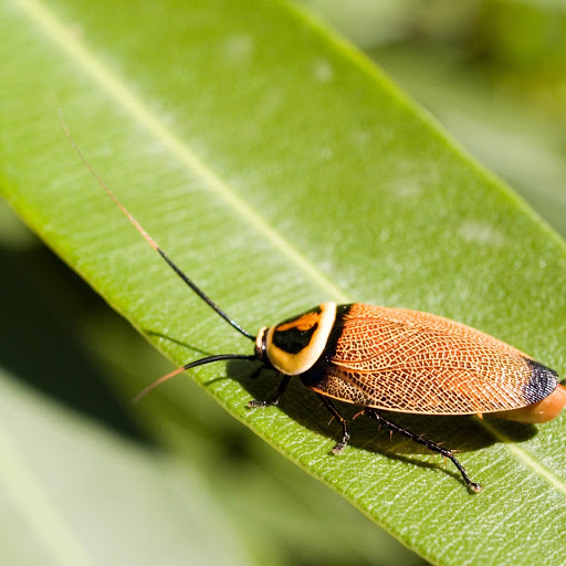 Hd-152838-ascw152838