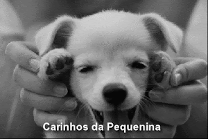 pequenina.gif