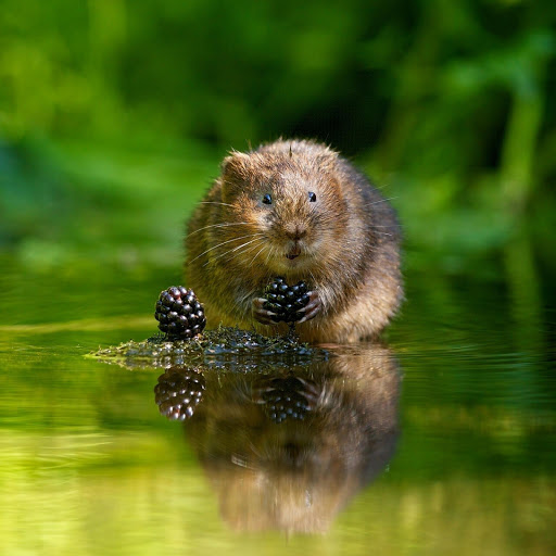 Hd-156956-ascw156956