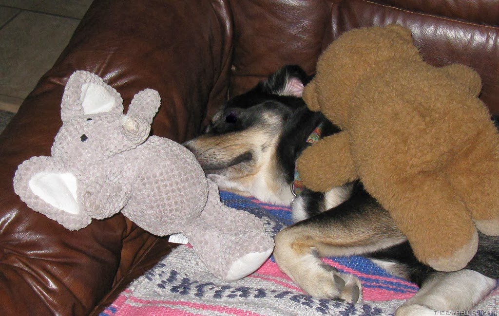 [IMG_3543%255B4%255D.jpg]