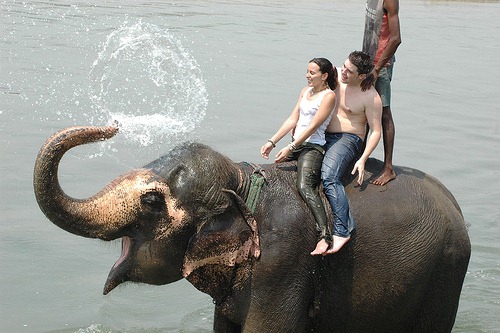 [chitwan-national-park%2520%25281%2529%255B2%255D.jpg]