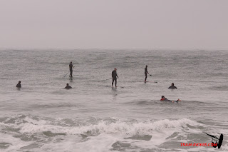 20141123-sup-argeles105.JPG
