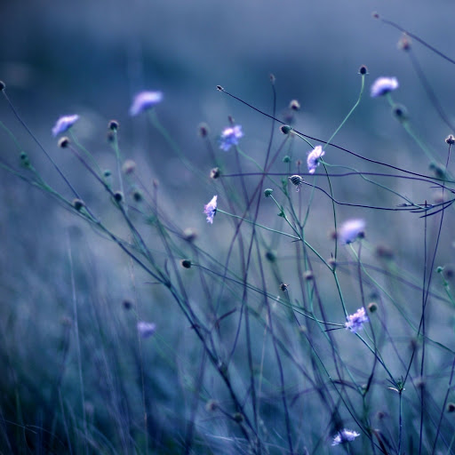 Hd-144331-ascw144331