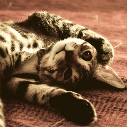 Hd-138932-ascw138932