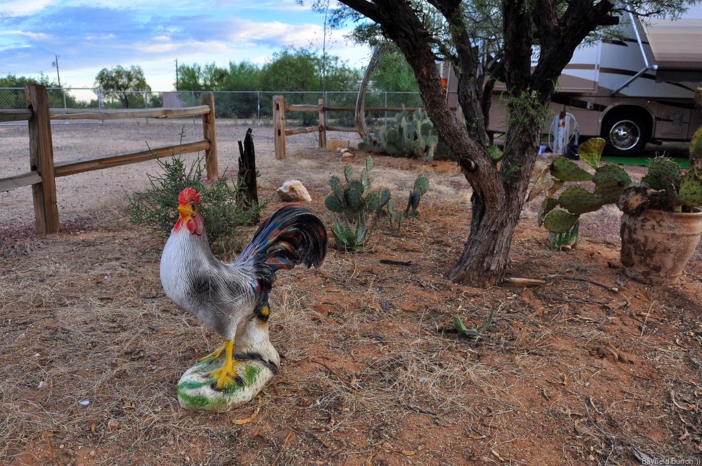 [DSC_0023%255B4%255D.jpg]