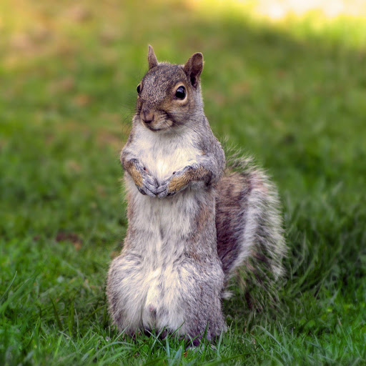 Hd-152512-ascw152512