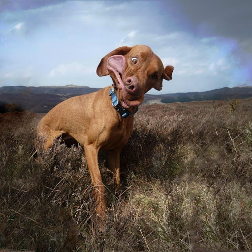 Hd-132127-ascw132127