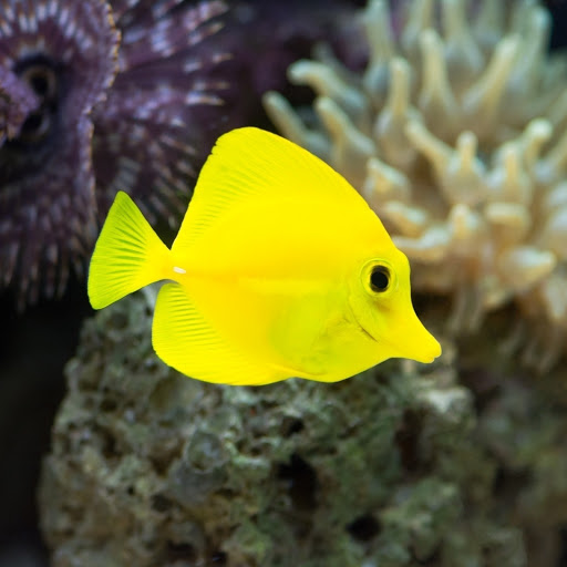 Hd-181094-ascw181094