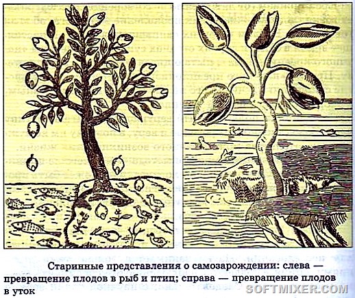 [550px-9_8_22_1%255B8%255D.jpg]