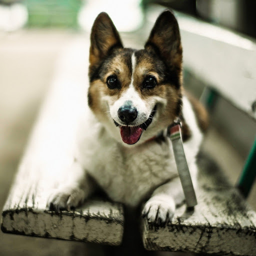 Hd-179953-ascw179953