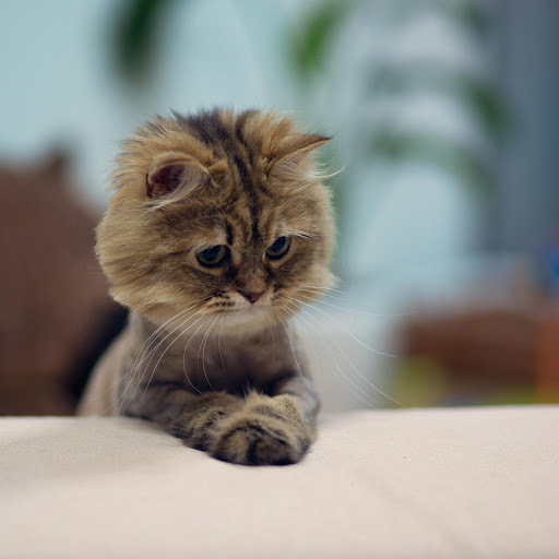 Hd-162452-ascw162452