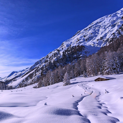 Hd-164521-ascw164521