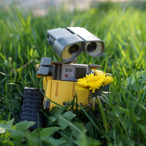 Hd-159544-ascw159544