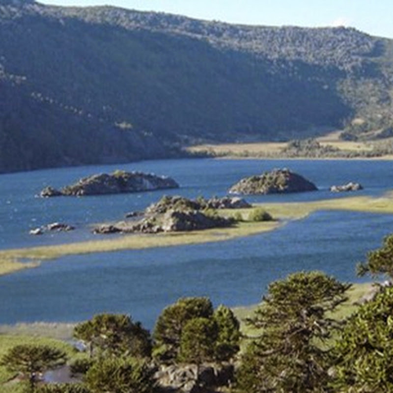 Villa Pehuenia, un paraiso escondido en Patagonia.