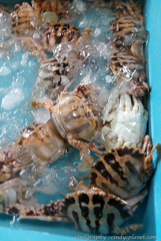 [Han-Lim14.jpg.webp]