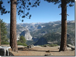 IMG_7956 IMG_7956