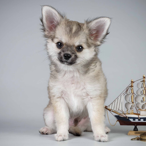 Hd-131741-ascw131741