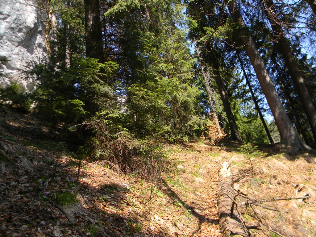 [DSCN76133.jpg]