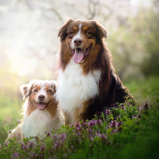 Hd-147555-ascw147555