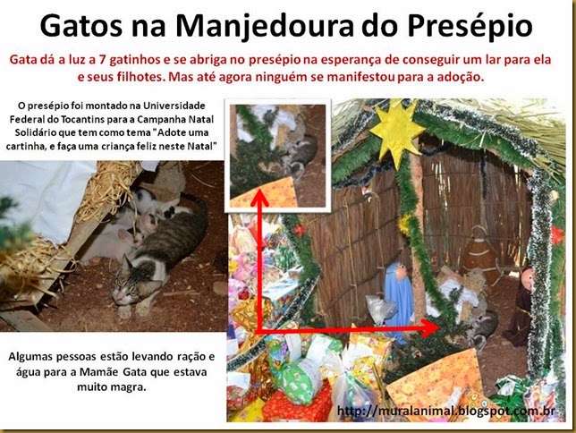 Gatos na Manjedoura do Presépio