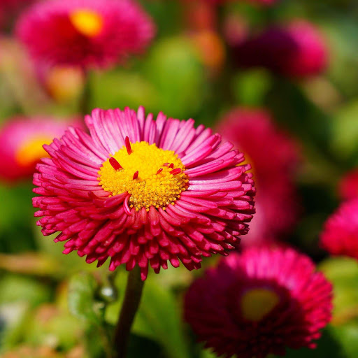 Hd-172582-ascw172582