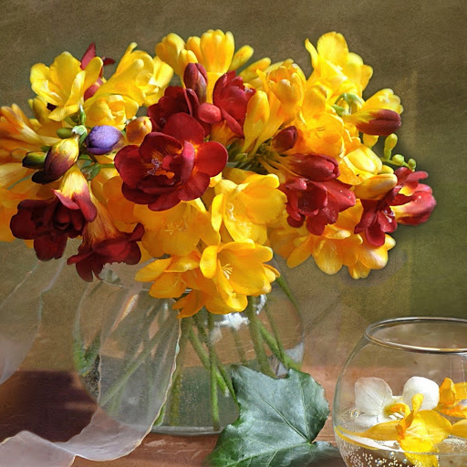 Hd-141312-ascw141312