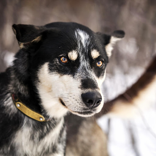 Hd-159248-ascw159248