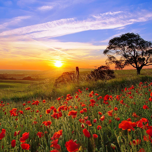 Hd-146192-ascw146192