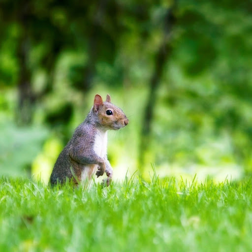 Hd-142906-ascw142906