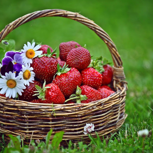 Hd-137728-ascw137728