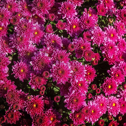 Hd-153347-ascw153347