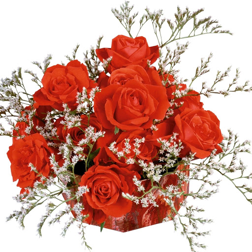 Hd-149166-ascw149166