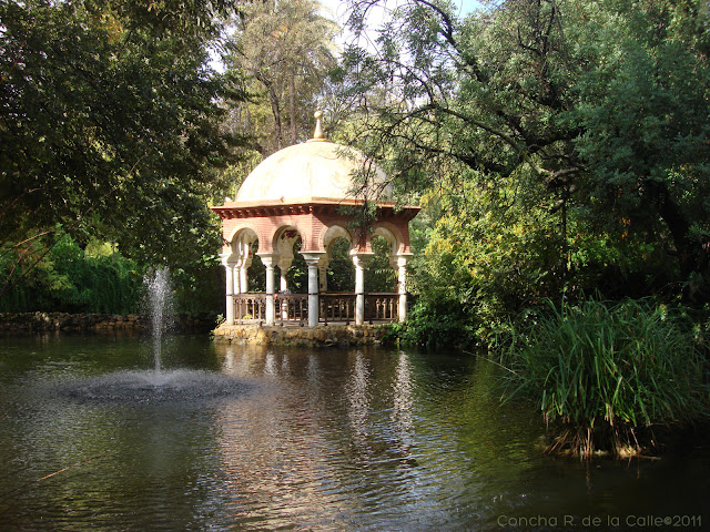Parque de María Luisa - Nvbre 2011- Isleta pajáros (12).JPG