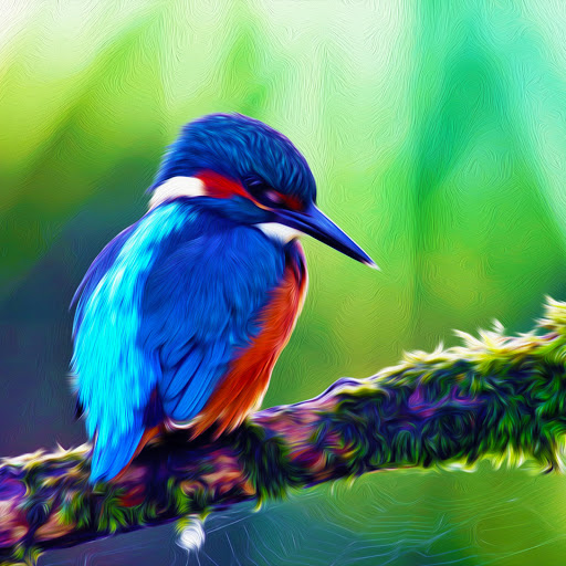 Hd-178068-ascw178068