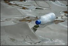 lixo garrafa de plástico boiando