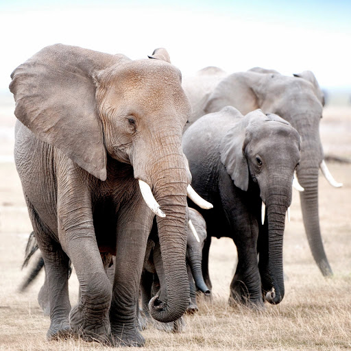 Hd-134626-ascw134626