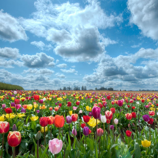 Hd-149223-ascw149223