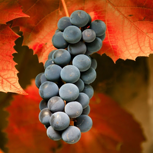 Hd-143031-ascw143031