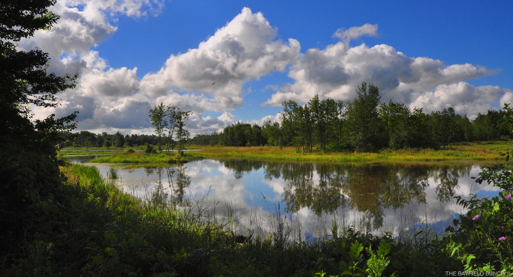 [DSC_0021%255B5%255D.jpg]