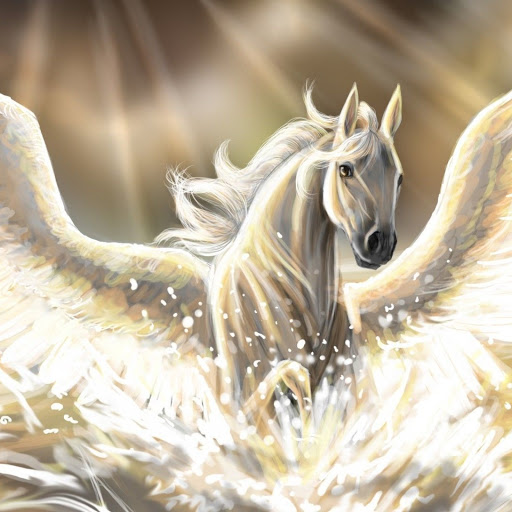 Hd-166004-ascw166004