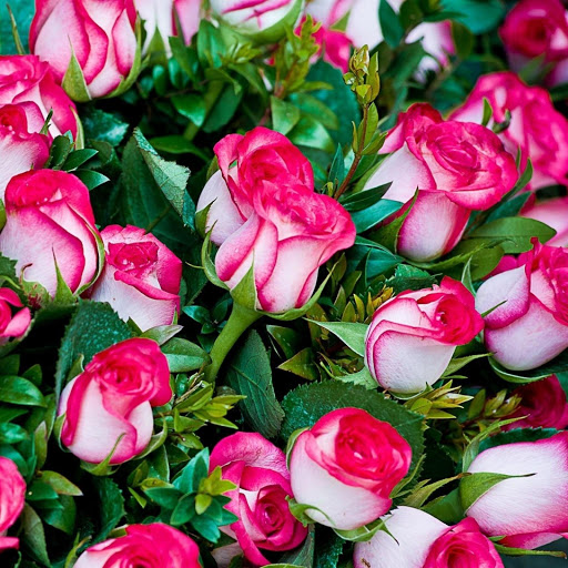 Hd-144399-ascw144399