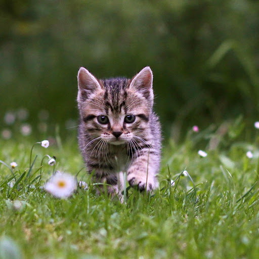 Hd-178278-ascw178278