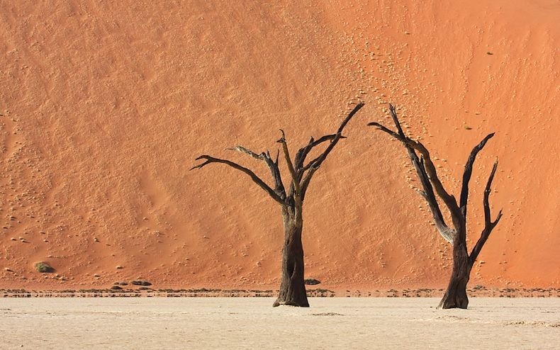 deadvlei-2